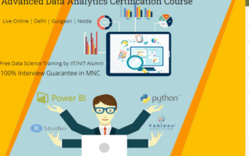 Top Data Analyst Certification Course in Delhi,