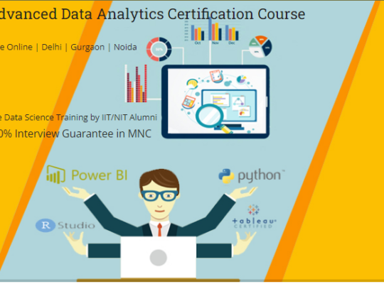 Top Data Analyst Certification Course in Delhi,